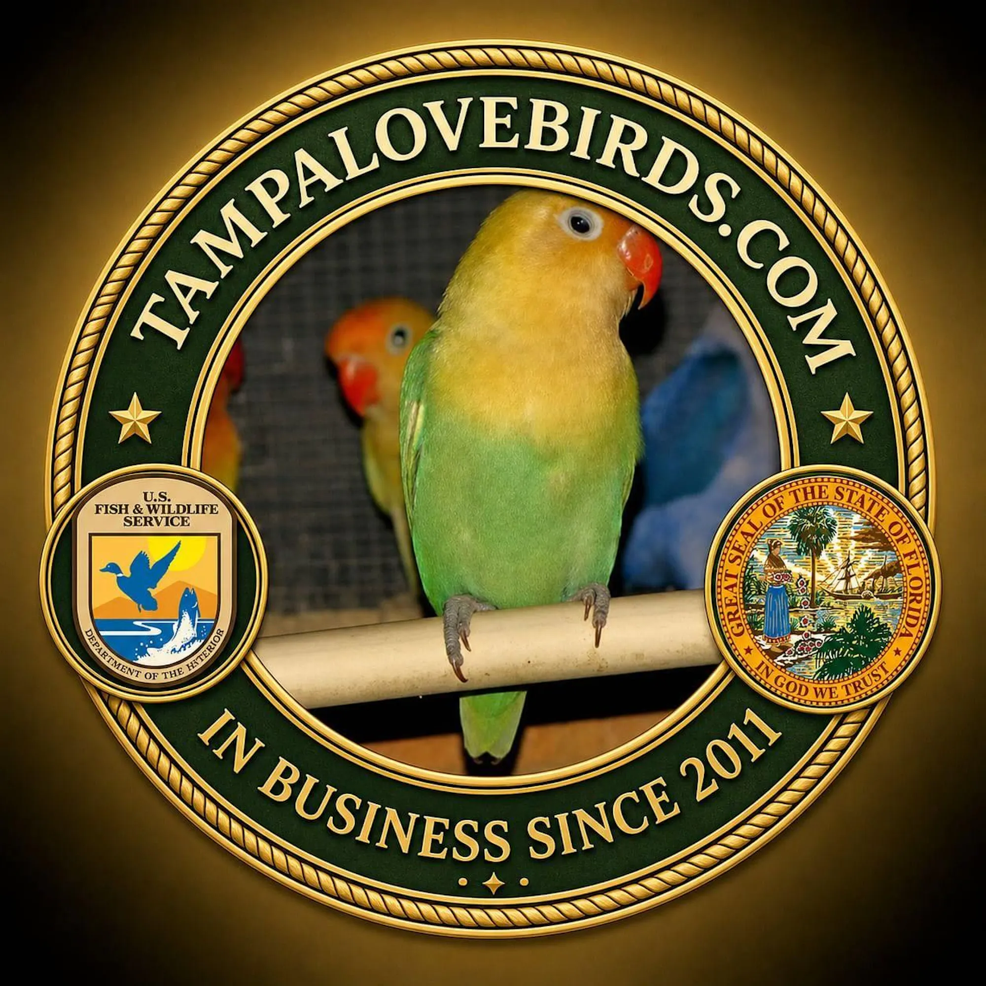 Tampalovebirds Social